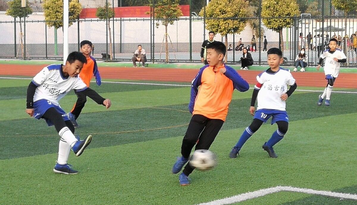 的系统训练 的系统训练